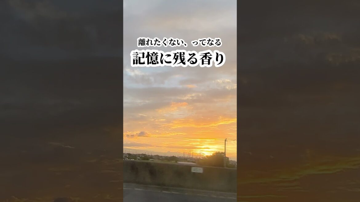 ねえ今日めっちゃいい匂いだね 香水ボディクリーム　 #Shorts