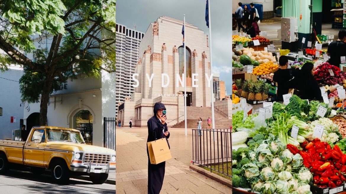 Shopping at styssy in Sydney 🇦🇺506→507 travel, shopping, life, training