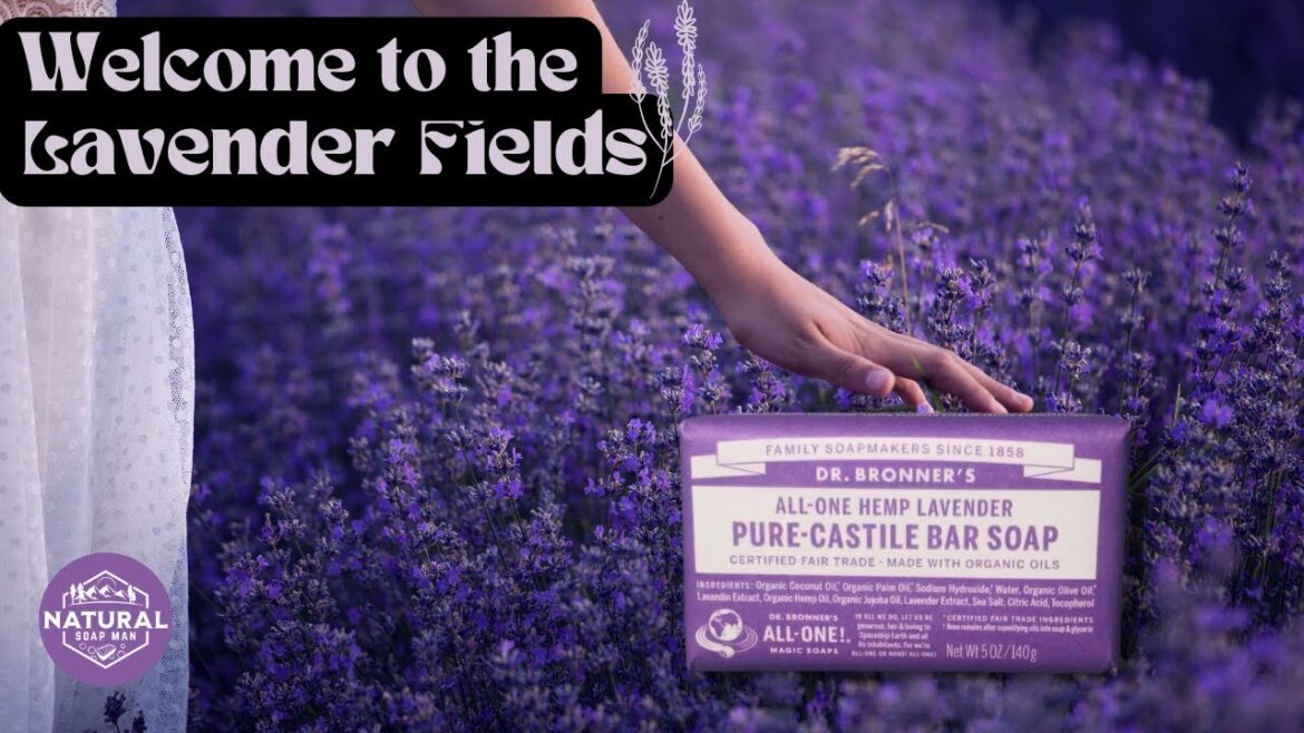 Dr. Bronner's Lavender Bar of Soap Review!