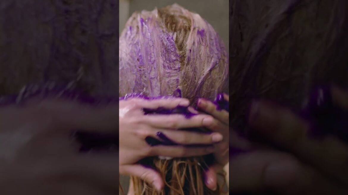 NEW Purple Toning Shampoo for Cool Tone & Strong Strands | Botanical Repair | Aveda