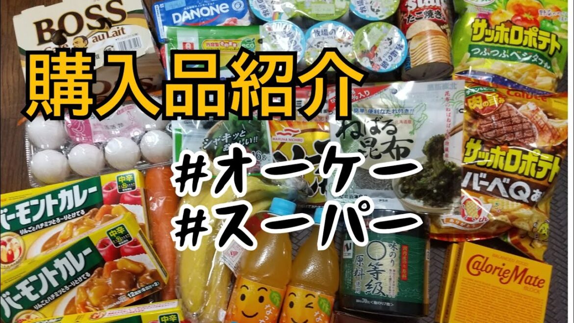 【購入品紹介】食料品/日用品/オーケー/スーパー/2025年5月