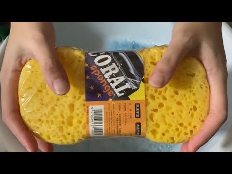 【ASMR】New coral sponge × Recycled dish soap🧽🩵頂き物の新しいスポンジとリサイクル洗剤でもこもこしてみた🧽🩵 【ASMR】New coral sponge × Recycled dish soap🧽🩵頂き物の新しいスポンジとリサイクル洗剤でもこもこしてみた🧽🩵