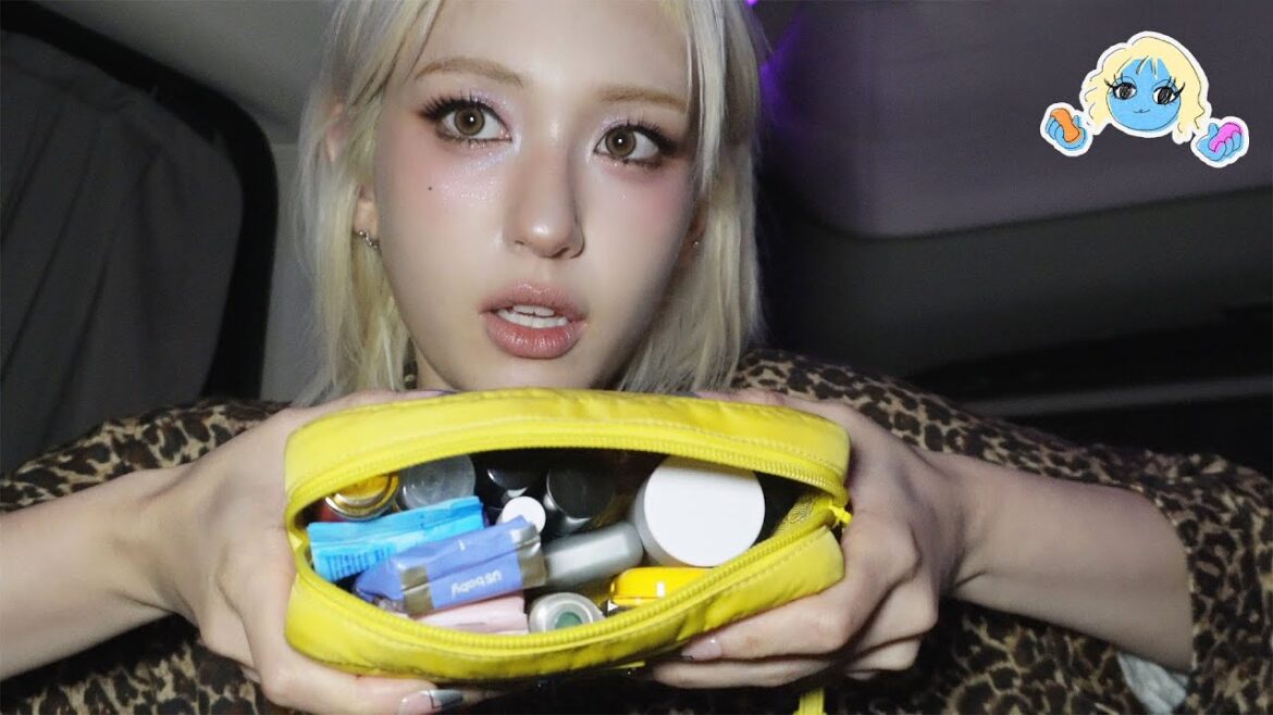 삶의질상승하는인생필수템총집합뭐그런왓츠인마이백
