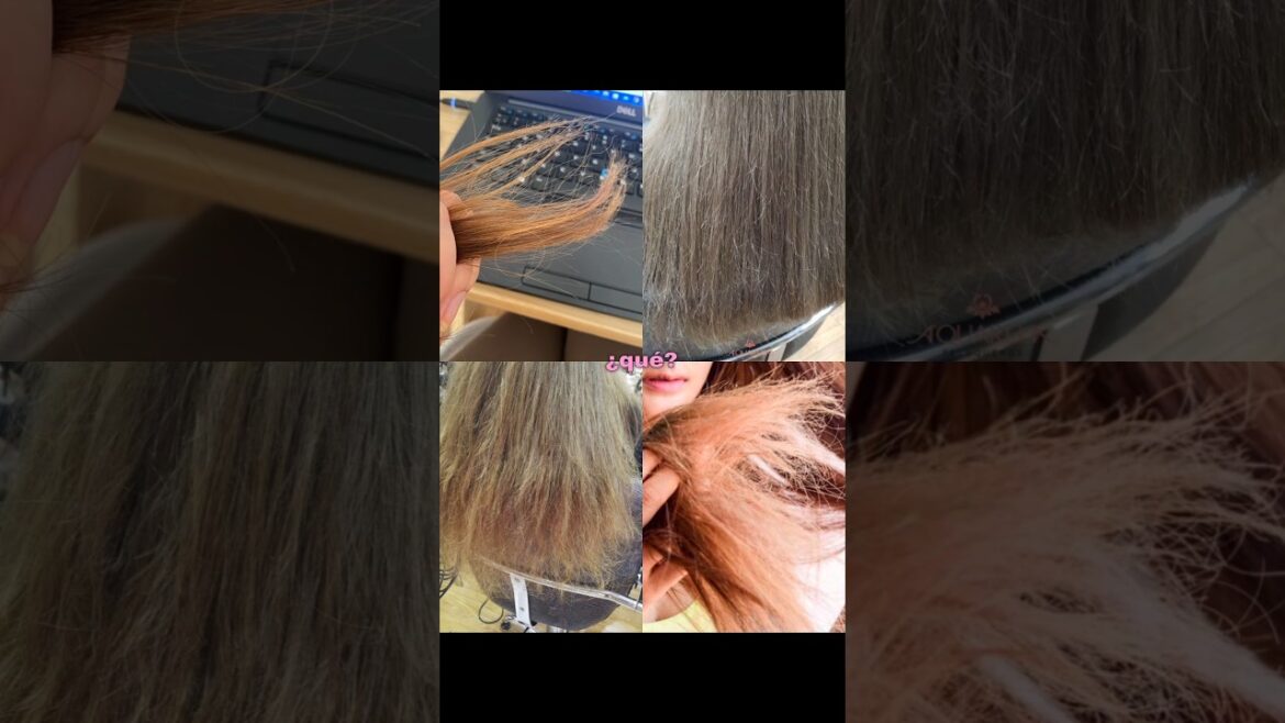 LOS SECRETOS JAPONESES para REPARAR el PELO DAÑADO con &HONEY MELTY en 7 DÍAS #cuidadodelcabello