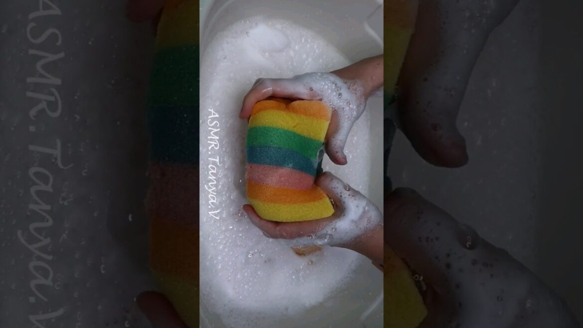 ASMR Sponge Squeezing #asmrspongesqueezing #asmrsponge #asmr #asmrsoap