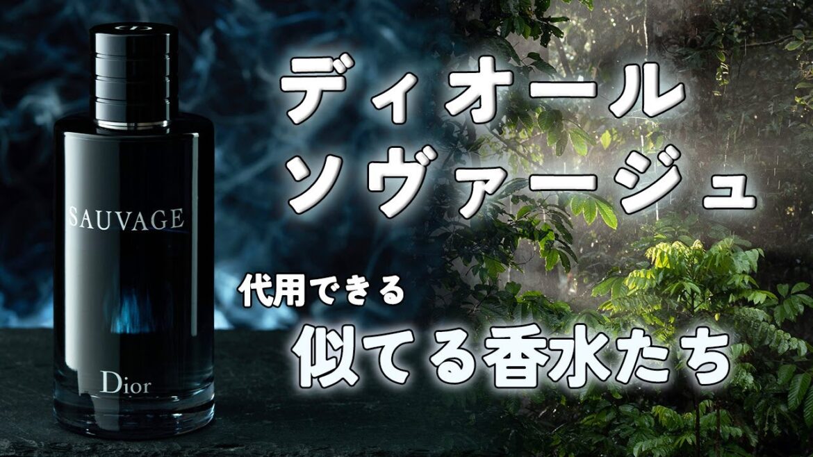 ディオール ソヴァージュに似ている香水まとめ #代用香水