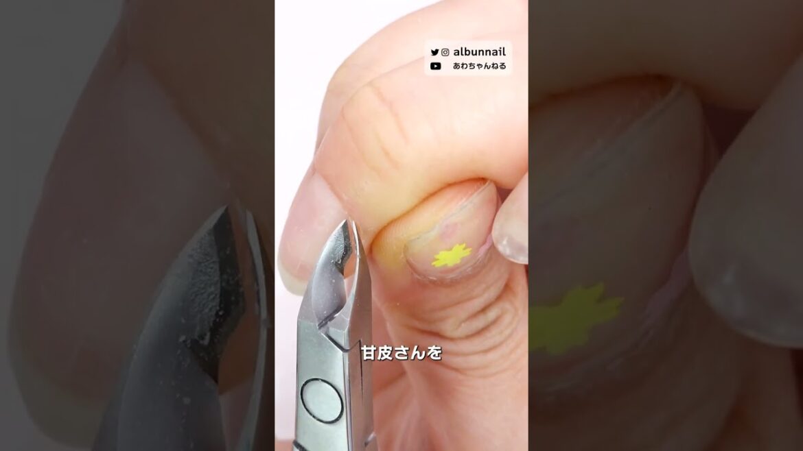 ネイルケア💅爪がボロボロすぎたので、ネイルケアでお爪を綺麗にする!💅 #shorts #short #セルフネイル #ジェルネイル #あわちゃんねる ネイルケア💅爪がボロボロすぎたので、ネイルケアでお爪を綺麗にする!💅 #shorts #short #セルフネイル #ジェルネイル #あわちゃんねる