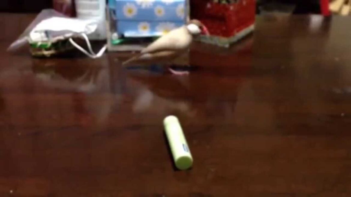 杏仁のリップクリームまわし