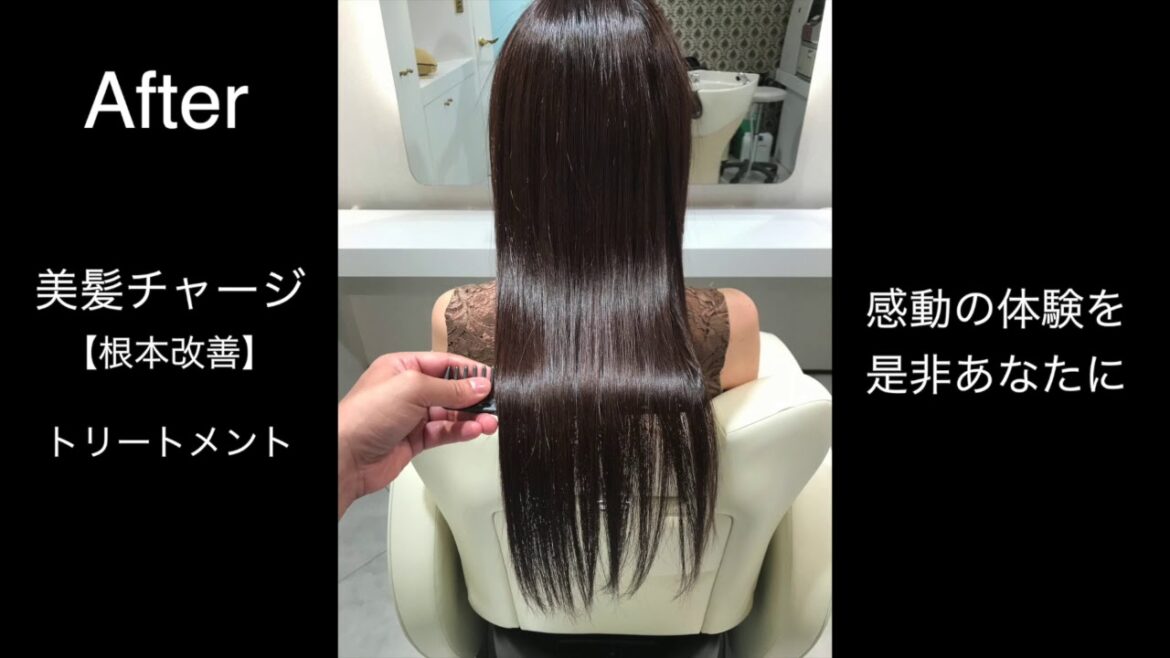 美髪チャージ専門店