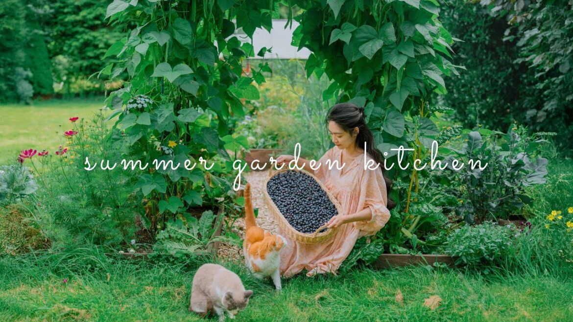 #180 Summer kitchen | Cooking with what garden give me: Blueberries 🫐 | Countryside life