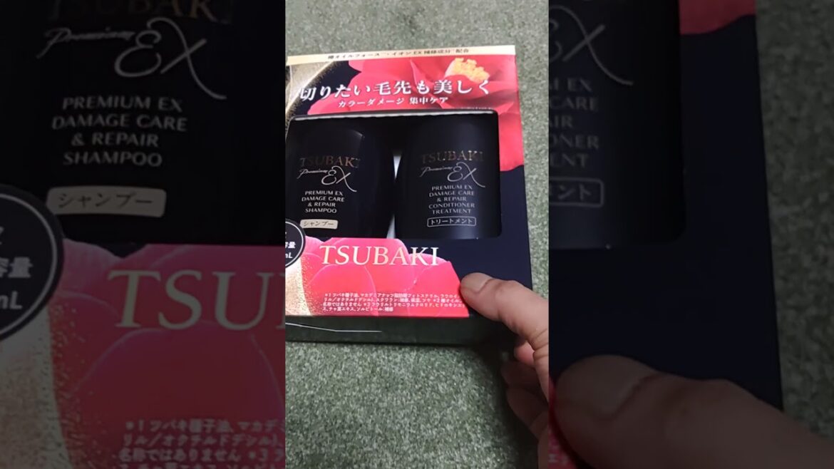 TSUBAKI PREMIUM　EX