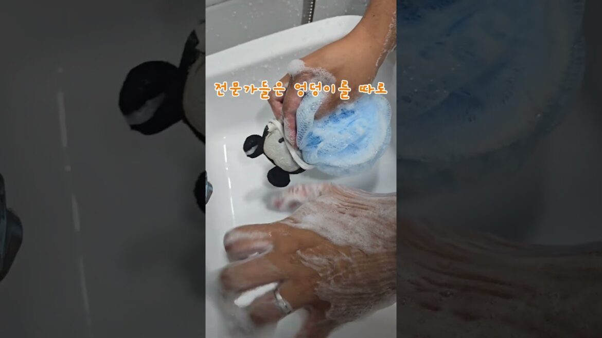 [#비누] 제니가 추천한 #펠리칸솝 #코이스루오시리 #제니추천템 #엉덩이비누 리뷰