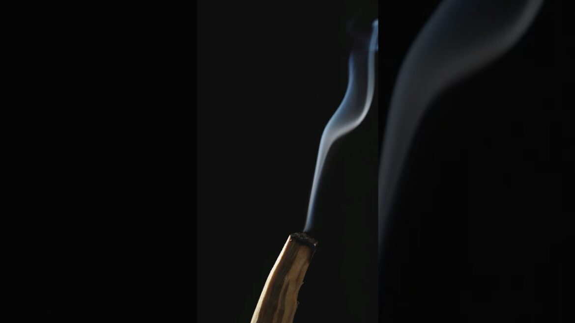 新発売｜BOTANIST SANTAL(サンタル)