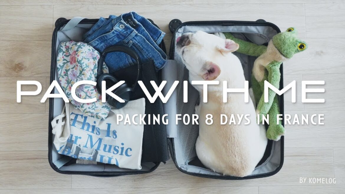 パリ旅行パッキング🇫🇷 機内持ち込みバッグの中身👜旅行に役立つおすすめグッズ＆機内を快適に過ごすアイテムたち