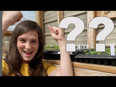 Waited 3 YEARS.. And Almost Gave Up | VLOG Waited 3 YEARS.. And Almost Gave Up | VLOG