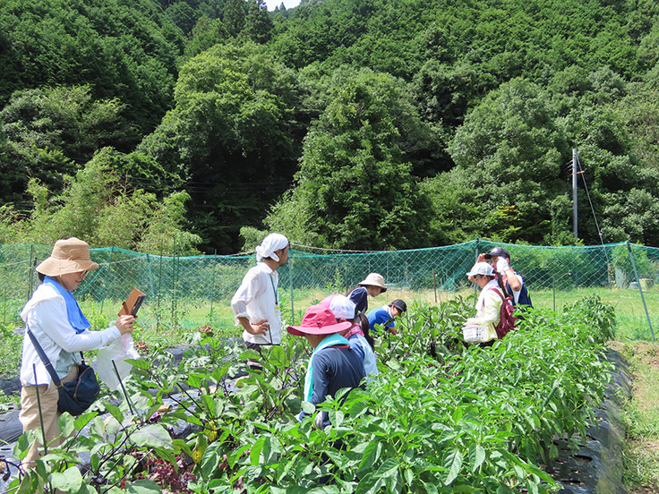 畑での実習のようす