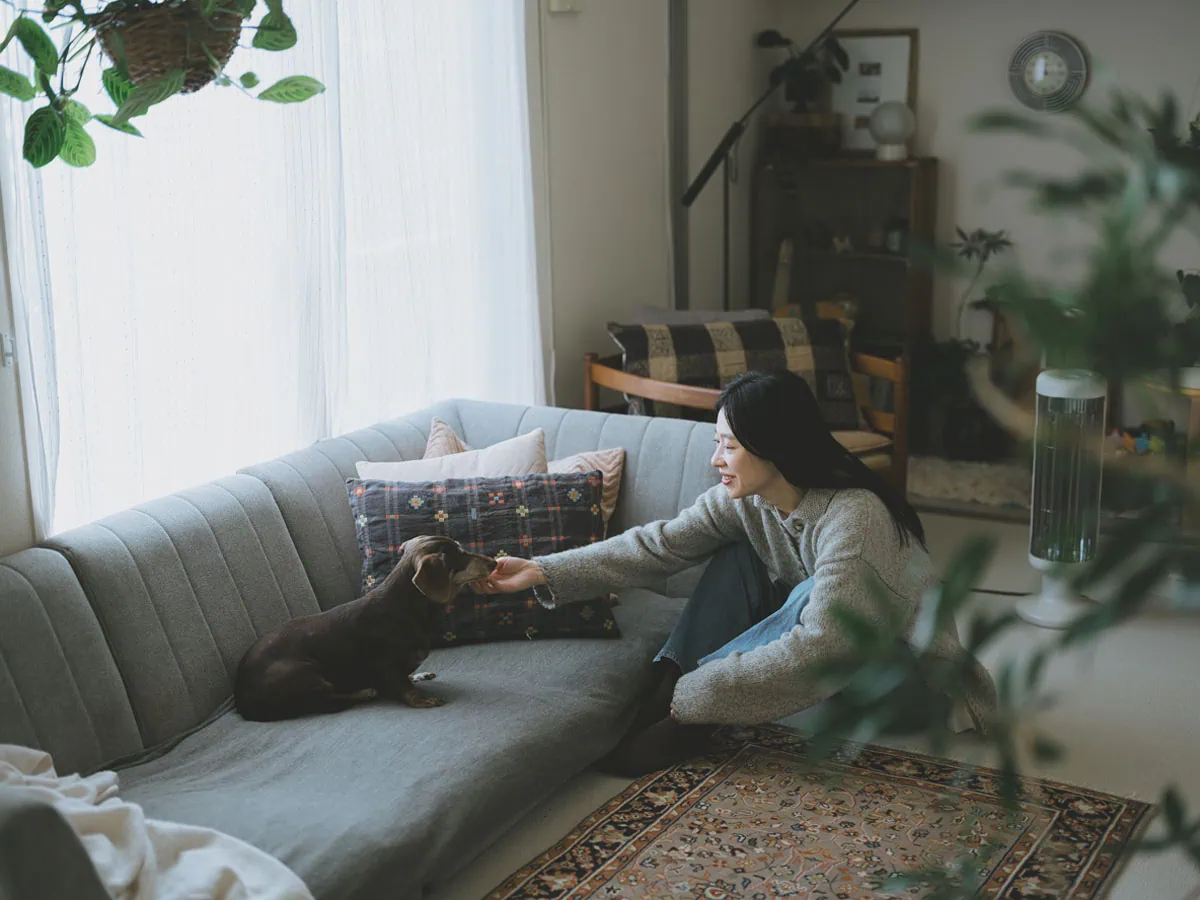 愛犬のことを考えて選んだベルメゾンのソファ