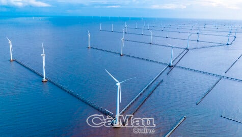 カマウ ― 魅力的な投資先。 Vietnam.vn - Nền tảng quảng bá Việt Nam