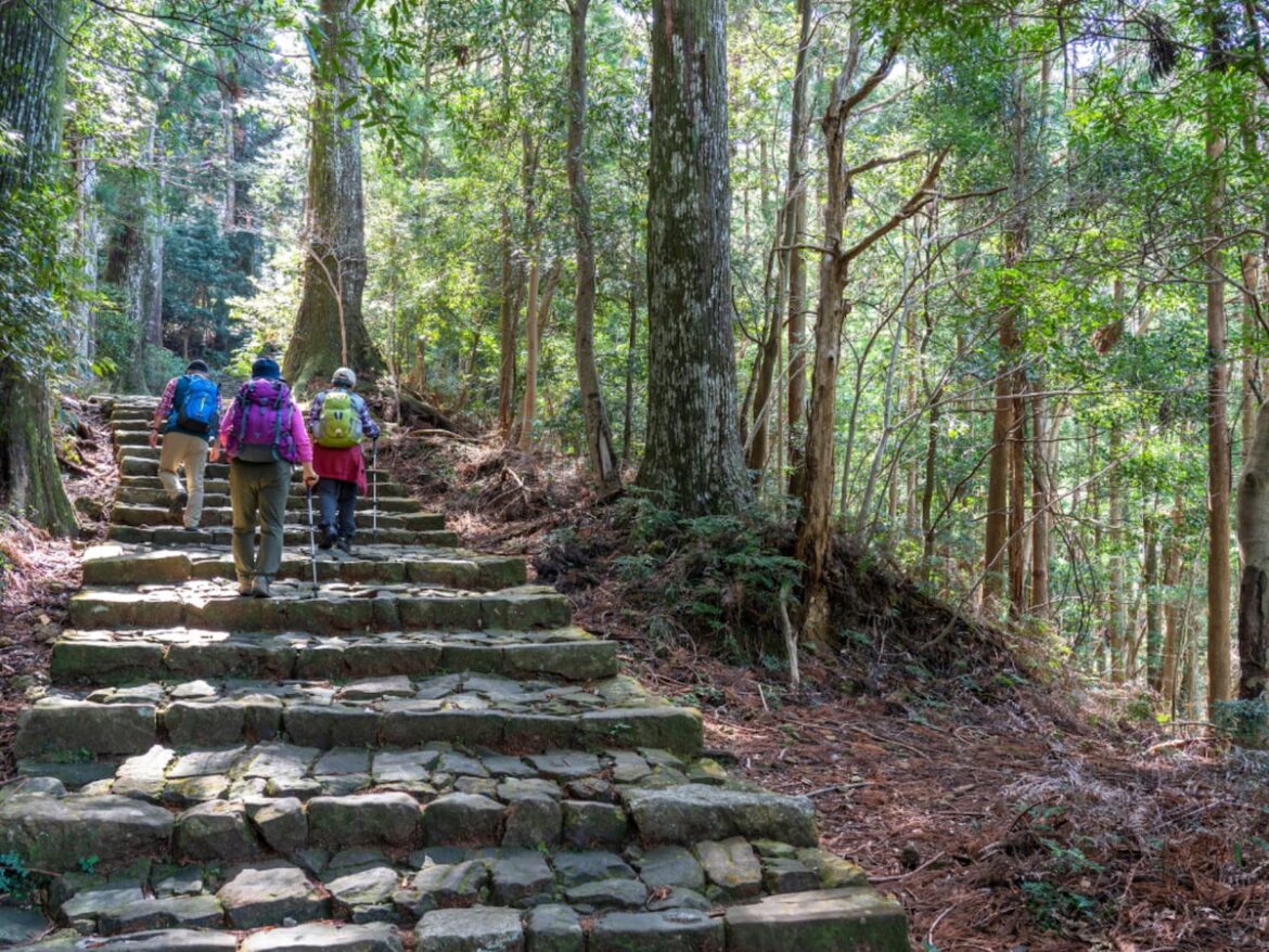春に行きたいと思う「和歌山県の旅行先」ランキング! 2位「熊野古道」を抑えた1位は?【2026年調査】 – All About ニュース 春に行きたいと思う「和歌山県の旅行先」ランキング! 2位「熊野古道」を抑えた1位は?【2026年調査】 - All About ニュース