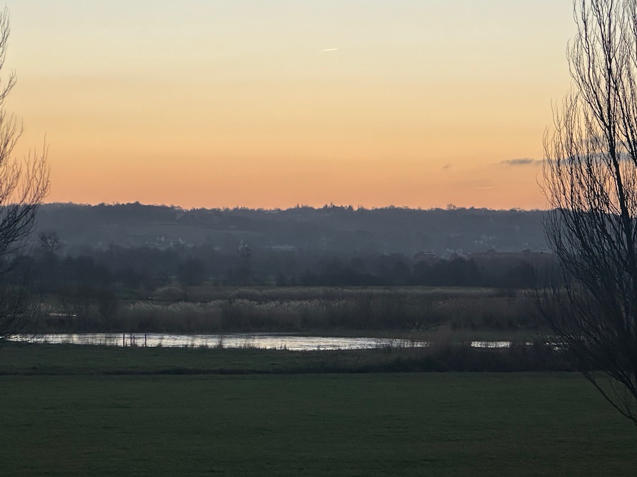 母の健康を願って描いた「マザー」、額装しました