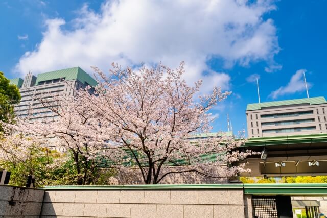 大学ファンドが防衛投資解禁へ 防衛研究の底上げにつながる | 文化放送 大学ファンドが防衛投資解禁へ 防衛研究の底上げにつながる