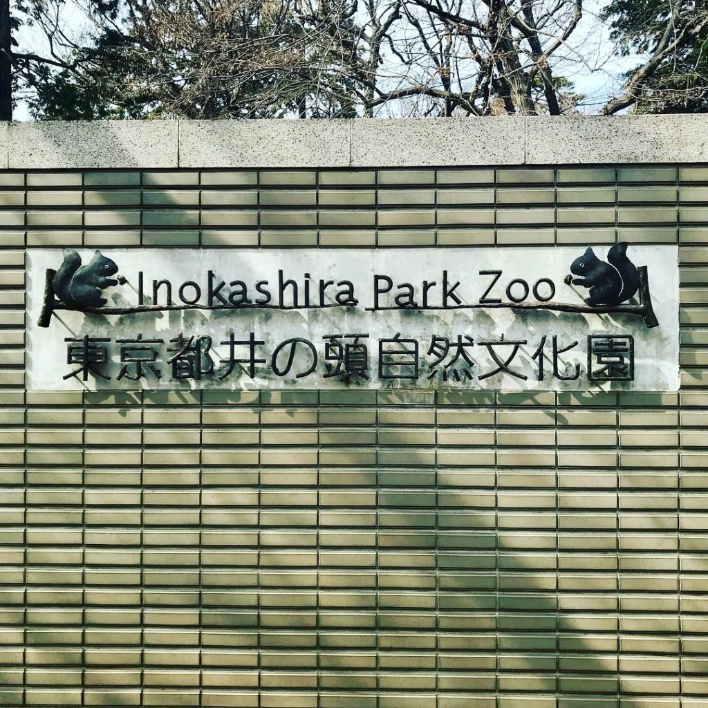 #猿亀合戦  3rd#井の頭自然文化園 でございます。双葉様のお仲間がたくさん﻿
﻿
#猿楽町双葉 #四月一日さん家の #バーチャルYouTuber #VTub...