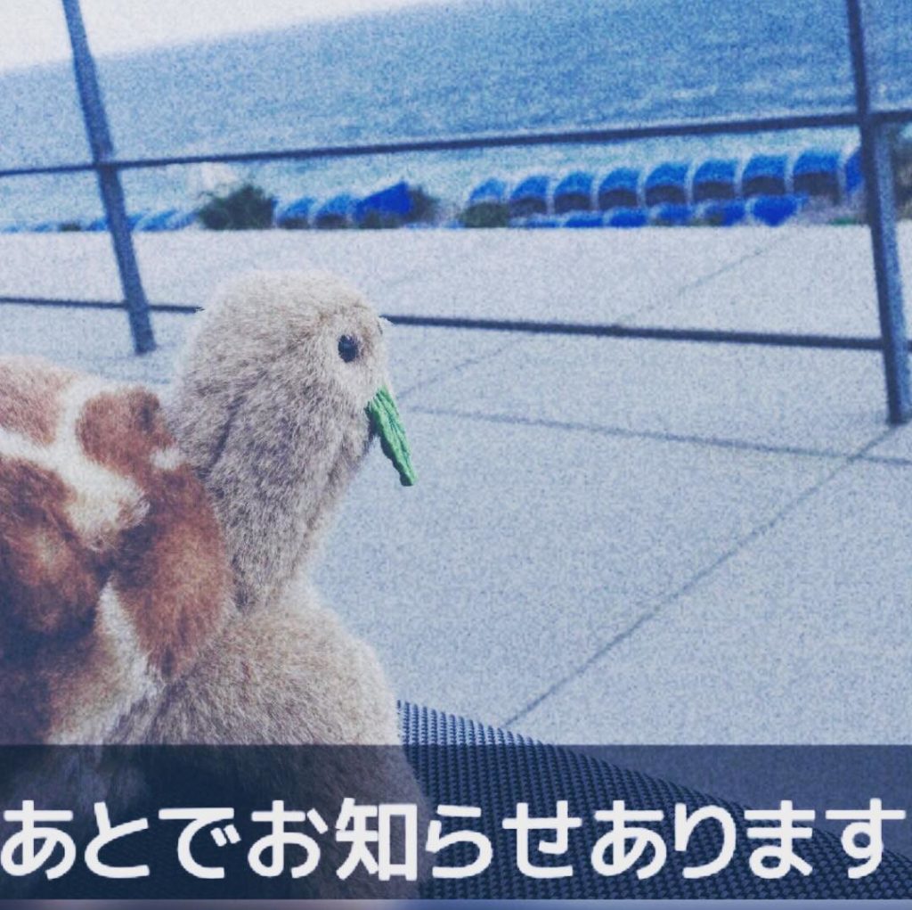 おはかめです 先日、海に行ってきました。
たそがれおかめ・・・(´｡✪ω✪｡｀)
のちほど、お知らせあります #四月一日さん家の #おかめ写真館 #大磯 #リク...