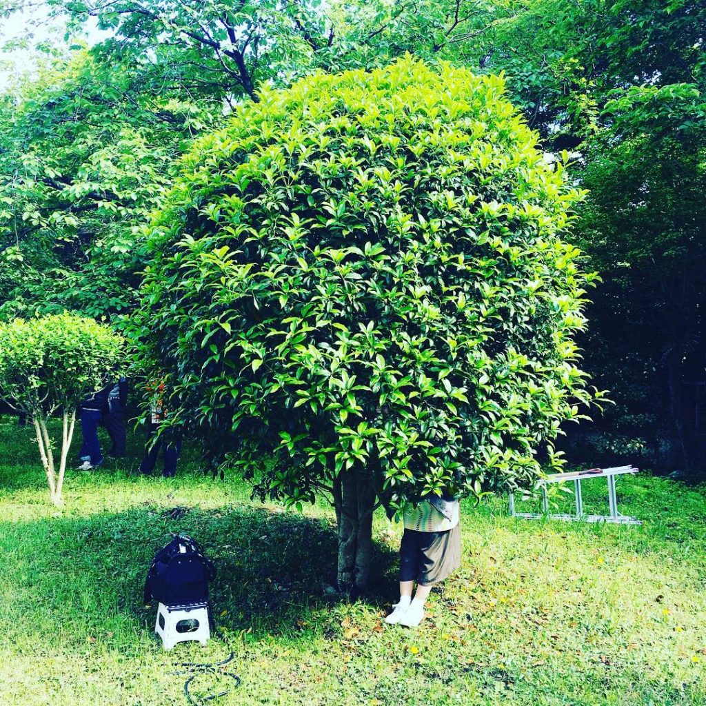 ！！！！ひぃ！
何かいるっ！
何？何？何？

#謎の木
#オトナの土ドラ#限界団地#東海テレビ#フジテレビ#佐野史郎#足立梨花#6月2日スタート#ロケ...