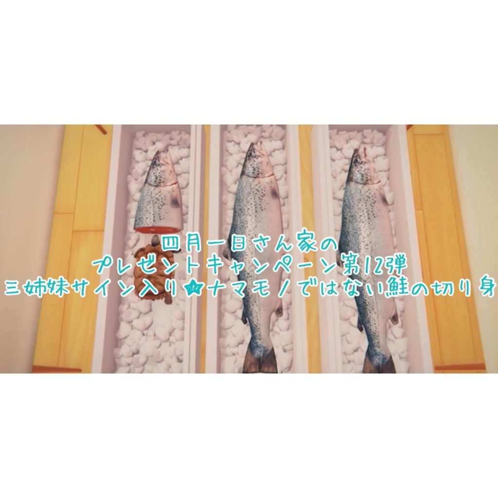 ‪ 毎週土曜 #四月一日さん家の﻿﻿﻿﻿﻿﻿﻿﻿
#プレゼントキャンペーン第12弾﻿﻿﻿﻿﻿﻿﻿﻿
Twitter @watanukisanchi で実施中﻿﻿...
