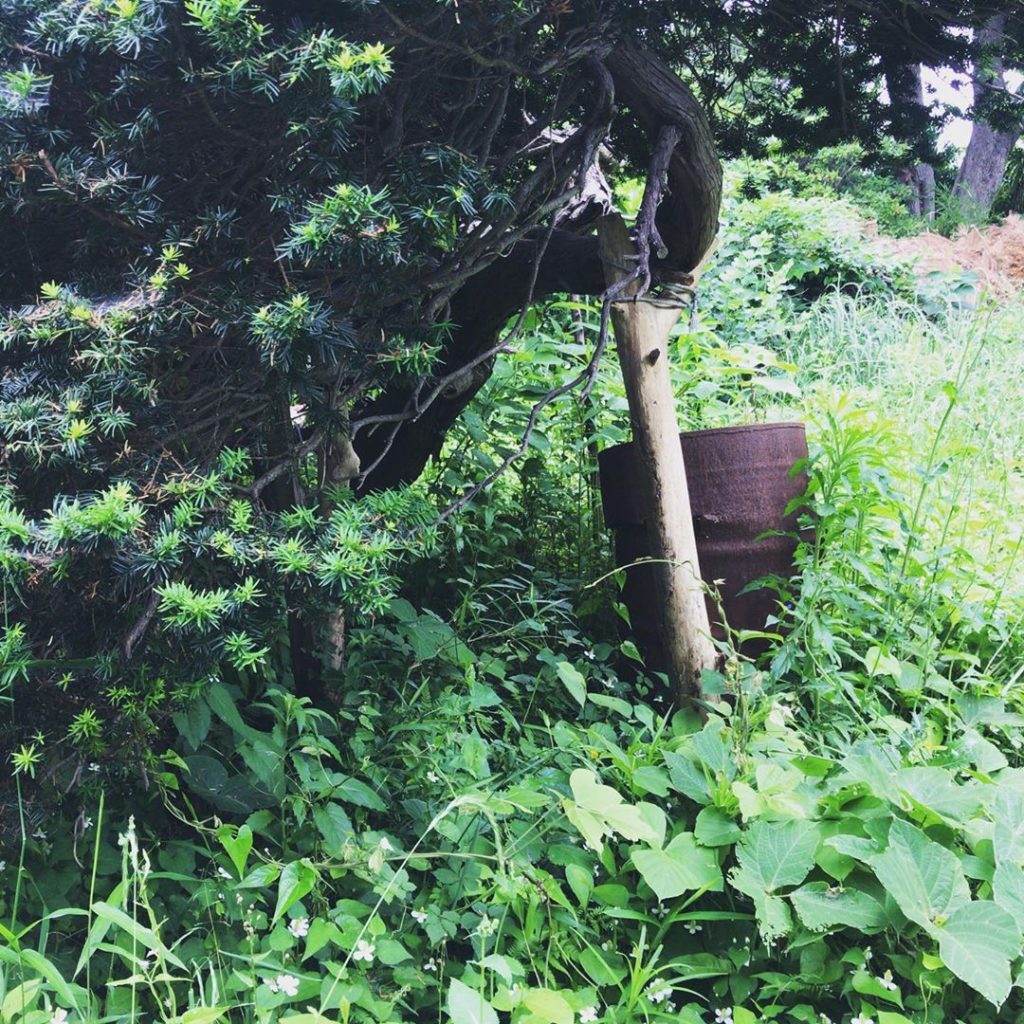 絶対ニ、虫ニ、刺サレルナ..........
'
#ヤバ怖メモリー
#何か出てきそうな気配

#簡単なお仕事ですに応募してみた 
#岩本照 #ラウール #渡辺翔...