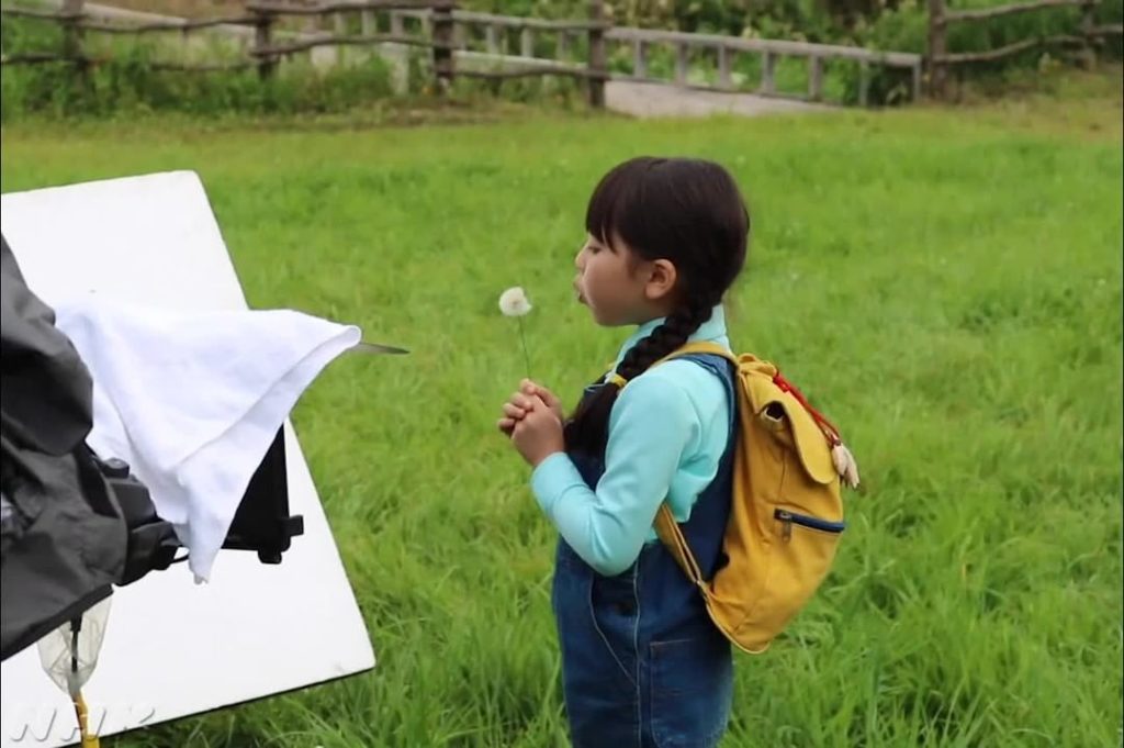 優がタンポポを吹くシーンのメイキング動画。撮影が行われた夏に綿毛のタンポポは貴重なため、リハーサルでは種が飛ばない造花のタンポポを使っていたんですよ。
⠀⠀
#...