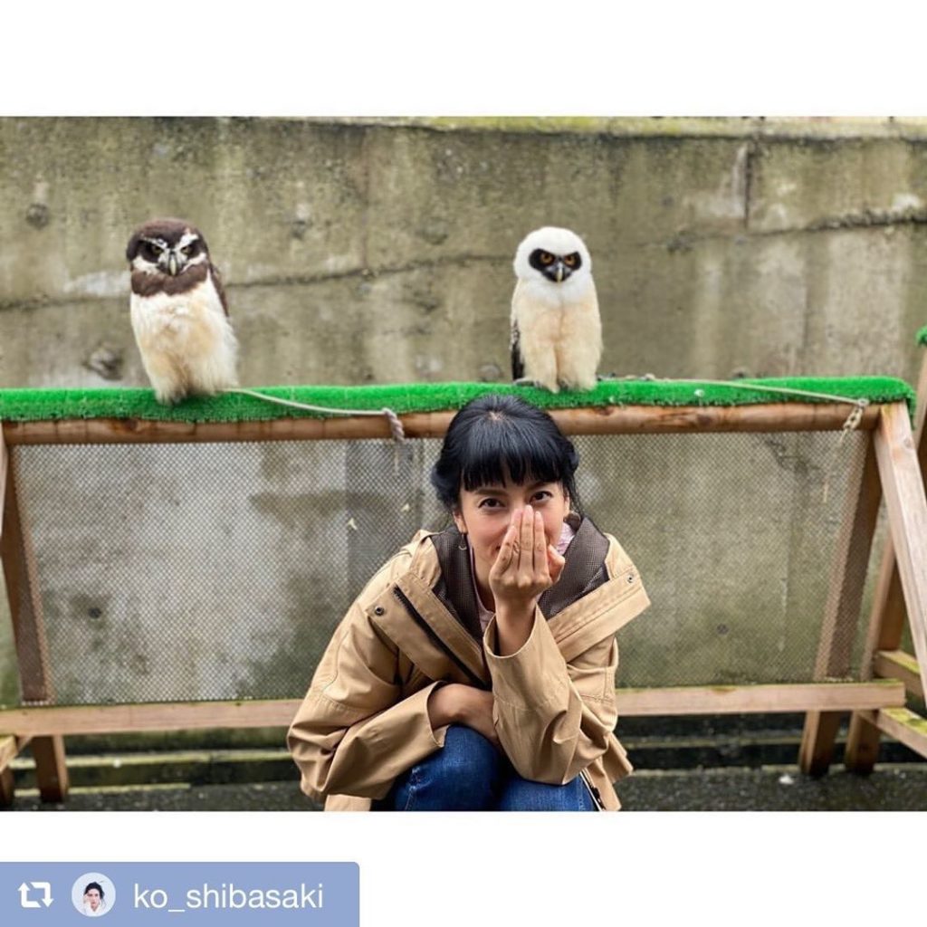 今夜よる19時から
I LOVE みんなの動物園
#柴咲コウ さん出演

22時からは #三十五歳の少女 スタート


#repost @ko_shibasak...