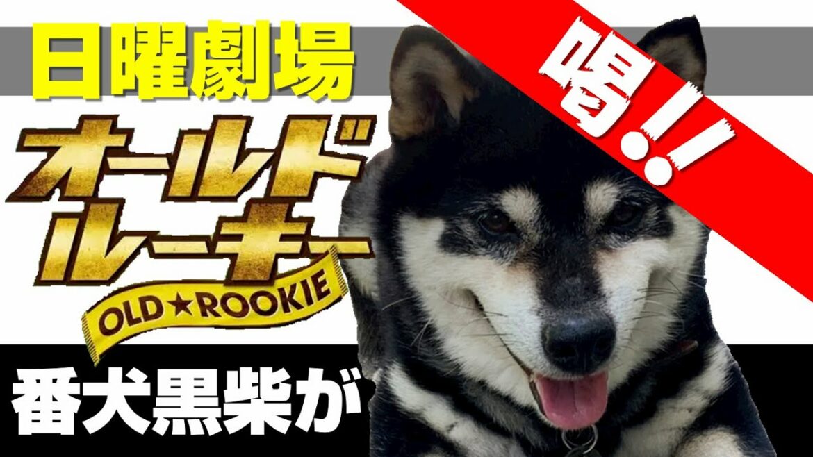 【オールドルーキー】に番犬黒芝が喝！！