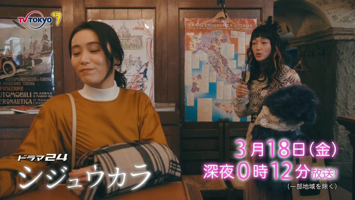 ドラマ２４　シジュウカラ　第11話