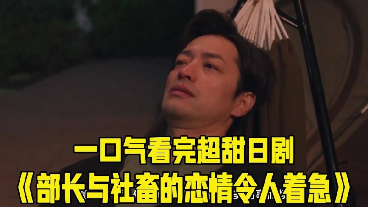 帅气部长和女社畜谈恋爱！这才是成年人爱看的小甜剧啊！一口气看完年度催婚日剧《社长与社畜的恋情令人着急》