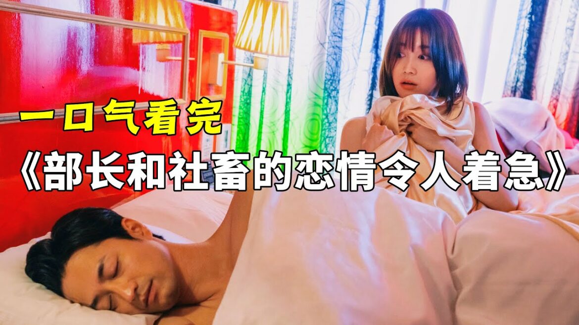 【洋橙】一口气看完《部长和社畜的恋情令人着急》全集，一集就上床，办公室软萌妹子被40岁的大叔强行推倒。