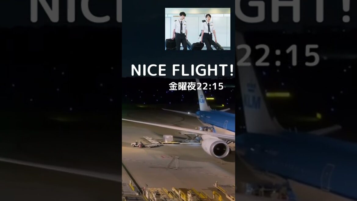 #shorts #NICEFLIGHT!#airlines