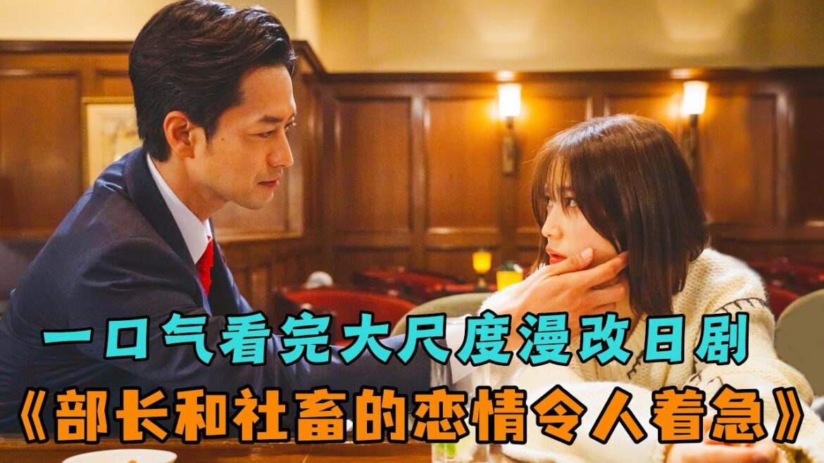 一集就推倒，一口气看完大尺度漫改日剧《部长和社畜的恋情令人着急》中村由利佳，竹财辉之助主演。