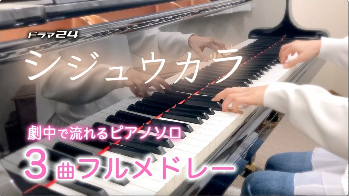 【侘美さん監修！楽譜配信中】劇中で流れる美しいピアノソロ【シジュウカラ】