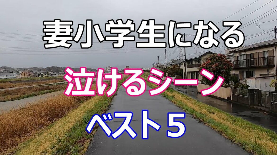 【妻小学生になる】【名シーン】【感想】【河川敷】【ロケ地】【東京都日野市】