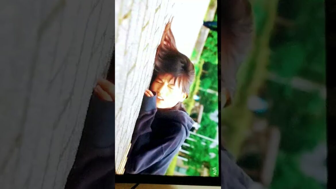 家庭教師のトラコ 家庭教師トラコ 橋本愛