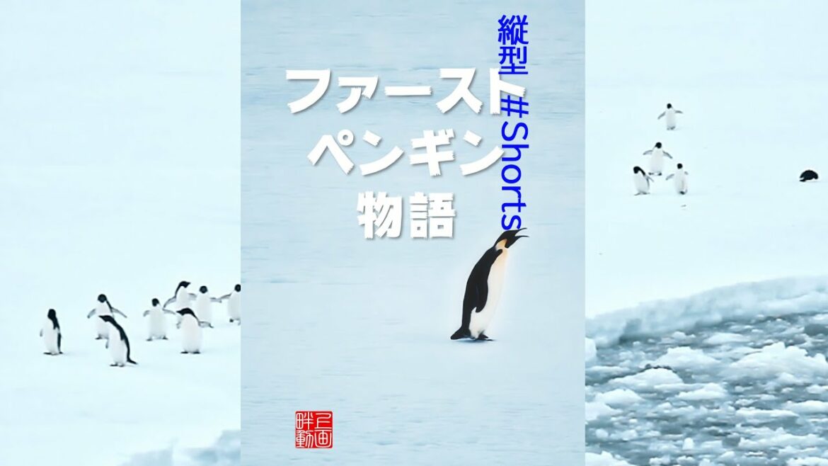 ファーストペンギン物語 縦型超ショート動画 #Shorts