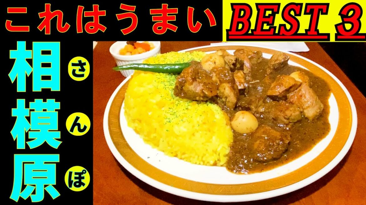 相模原のタクシーの運転手にインタビューして ベスト３を回ってきました。
