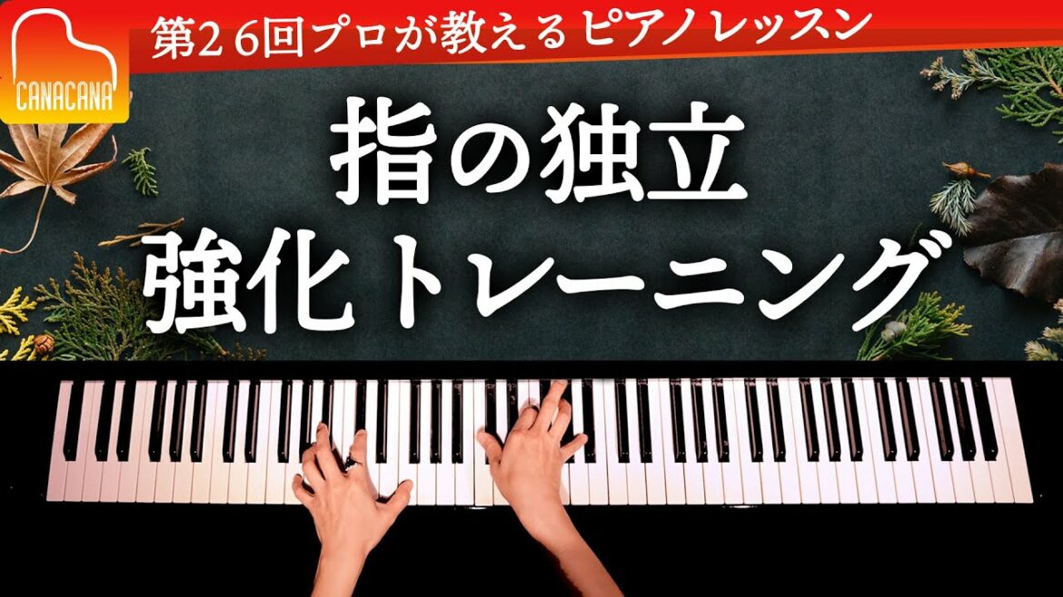 指の独立強化トレーニング【第26回カナカナピアノ教室】 CANACANA Piano Lesson#26