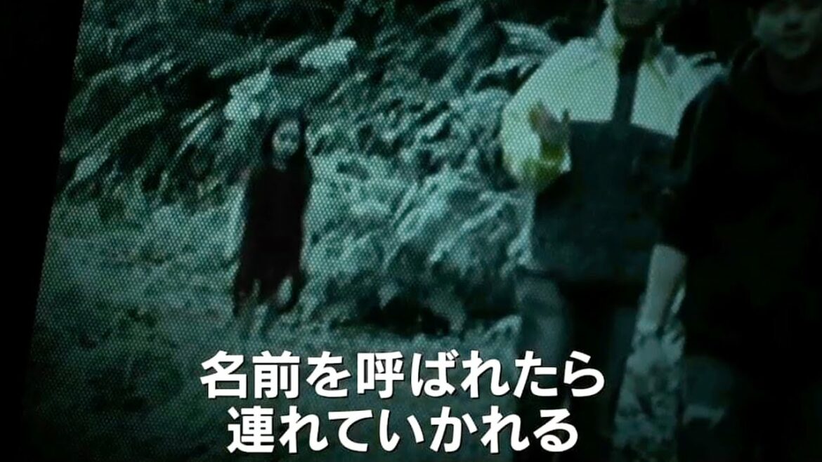 心霊番組に1本の動画が投稿された。その動画には…／ホラー映画『紅い服の少女 第一章 神隠し』予告編