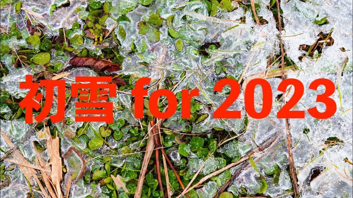 short news 横手山に初雪❗First Snow For 2023. Mt.YOKOTE 2307