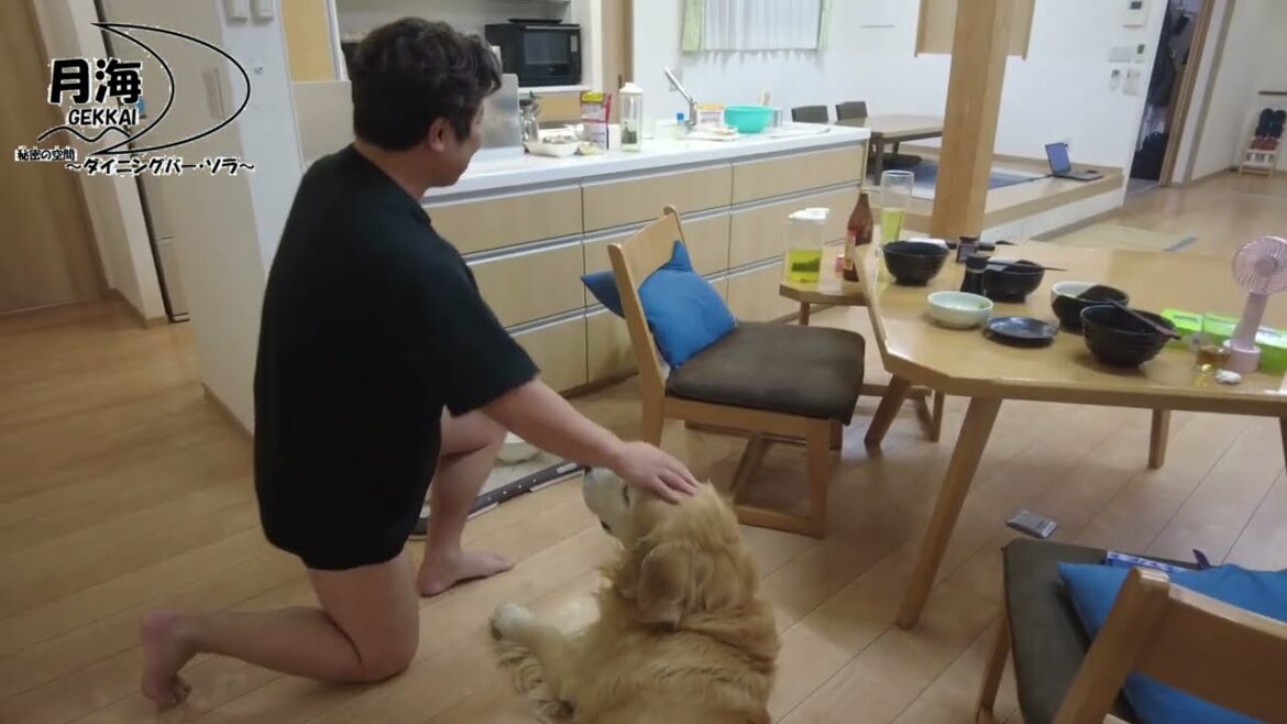 家に帰るのが幸せ。相棒が居る生活