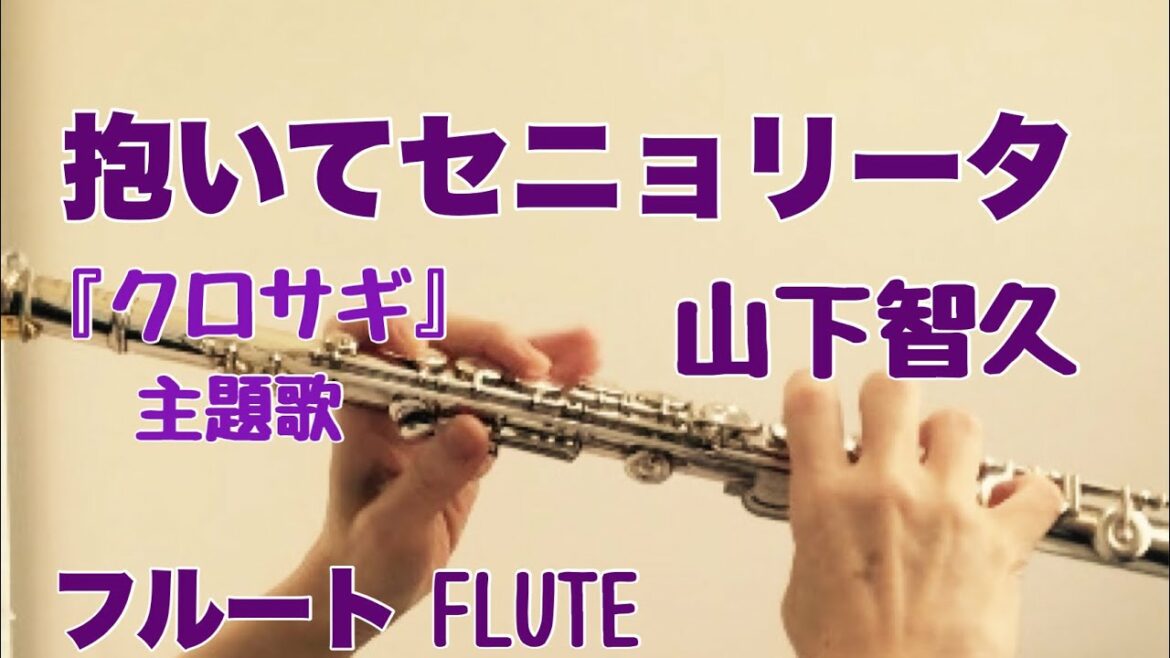 抱いてセニョリータ / 山下智久【フルートで演奏してみた】2006年『クロサギ』主題歌 "Daite Senorita" Kurosagi