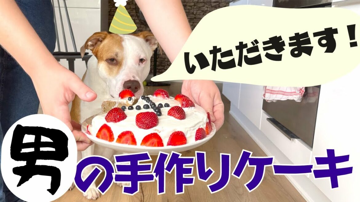 自分のケーキって気づく愛犬がすごすぎた🐶【保護犬】