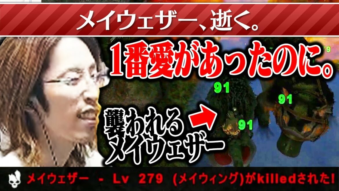 釈迦の相棒「メイウェザー」が旅立つ